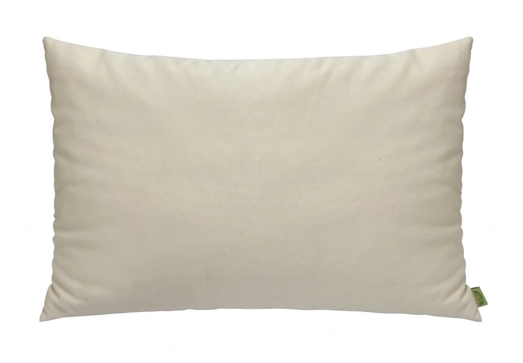 Dream Pillow Natura   OreillerNatura DREAM 1024x711 